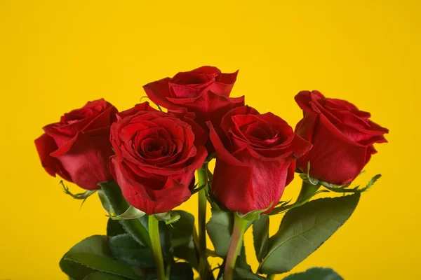 stock image Bouquet of scarlet roses on yellow background