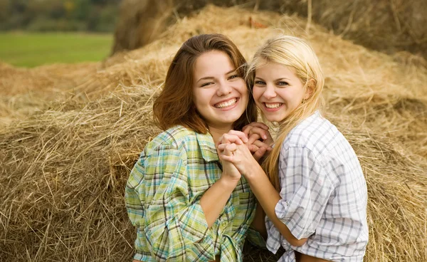 乡村姑娘在干草上 — 图库照片