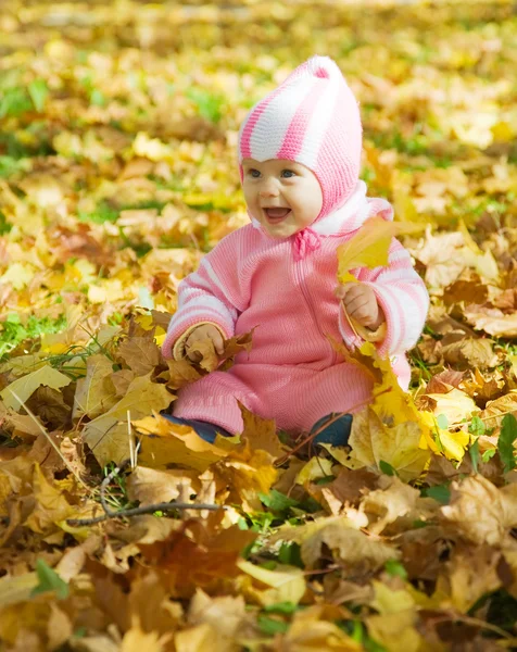 14紅葉と一緒に遊んで陽気な赤ちゃんの女の子を葉します — ストック写真
