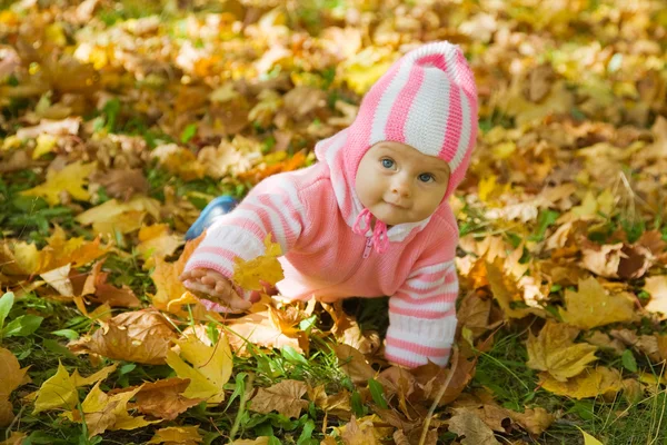 公園で紅葉と遊ぶ赤ちゃんガールを葉します — ストック写真
