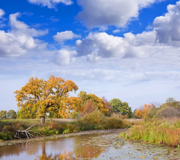 Paysage d'automne avec lac — Photo