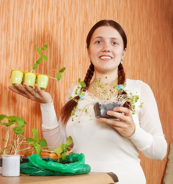 Gardener with various seedlings — Stock Photo, Image