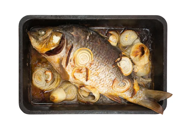Στη Σχάρα Ψάρια Κυπρίνος Ταψάκι Μάγειρα Απομονωθεί Λευκό — Φωτογραφία Αρχείου