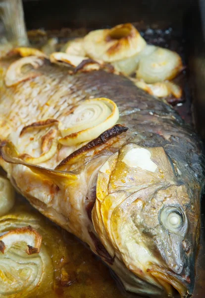 Grilovaný kapr ryby na pánvi vaříme — Stock fotografie