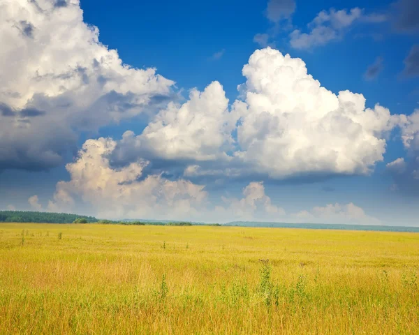 Summer Landscape Field Cloudy Sky — Stock Photo, Image