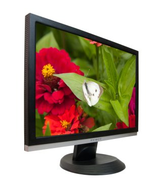 Lcd monitor with nature desktop. On screen my photo clipart