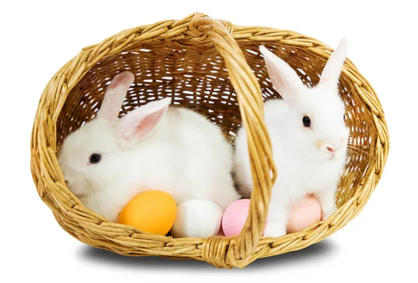 Easterrabbits in basket with eggs — Stock Photo, Image