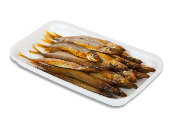 金黄烟干鱼在塑料板 在白色隔离 — 图库照片