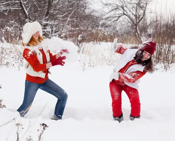 Twee Meisjes Speelt Met Sneeuw Winter Park — Stockfoto