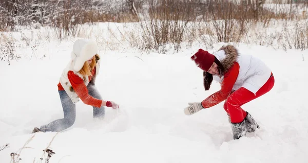 Duas Meninas Brinca Com Neve Parque Inverno — Fotografia de Stock