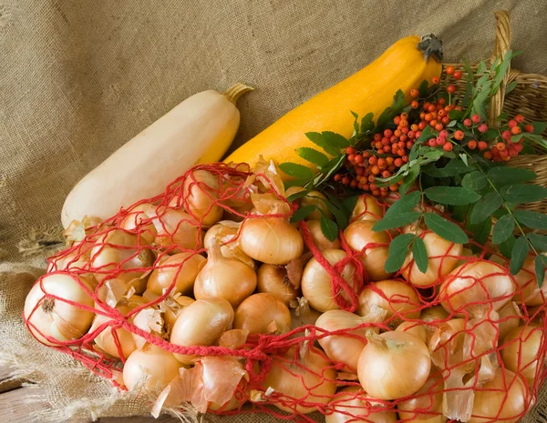 Onion and vegetable marrow — Stock Photo, Image