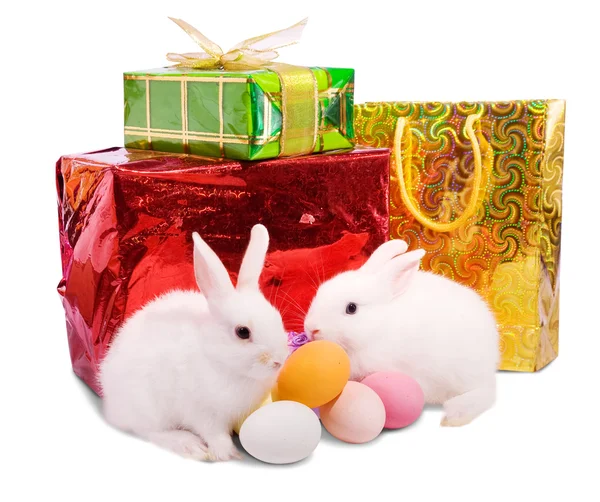 Dos Conejos Blancos Pascua Con Regalos Aislado Sobre Fondo Blanco —  Fotos de Stock