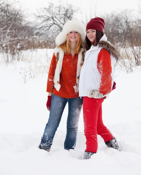 Porträtt Två Leende Flickor Vintern — Stockfoto
