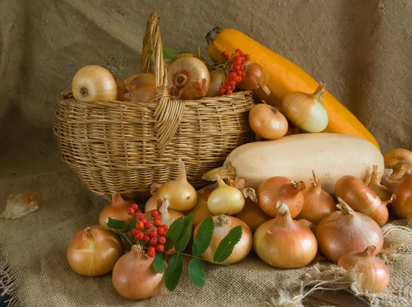 Cebola em cesta e tutano vegetal — Fotografia de Stock