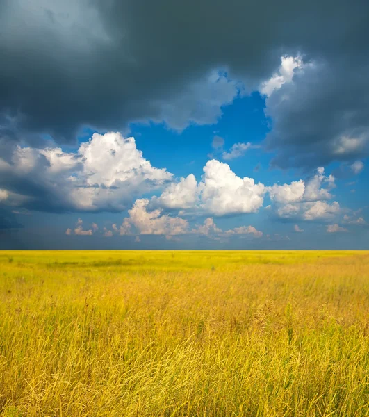 Letni Krajobraz Wysoką Trawą Pod Zachmurzonym Niebem — Zdjęcie stockowe