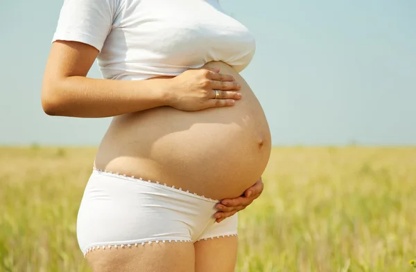 夏の畑と妊娠中の女性の腹のクローズ アップ — ストック写真