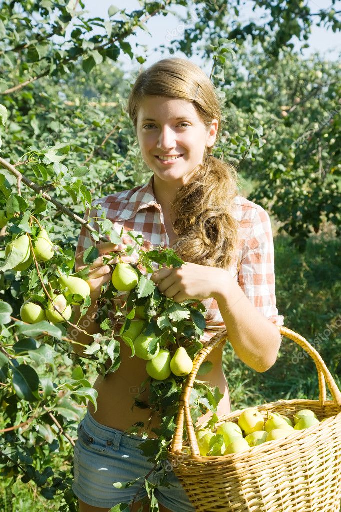 Girl is picking peares Stock Photo by ©Jim_Filim 5149313