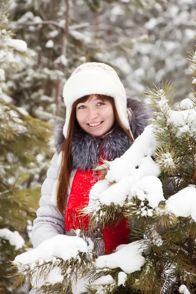 Kobieta w lesie sosnowym zimowa — Zdjęcie stockowe