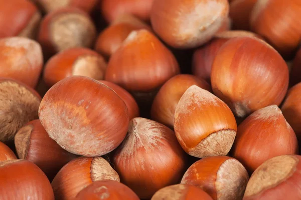 Bakgrund av brun hasselnötter — Stockfoto