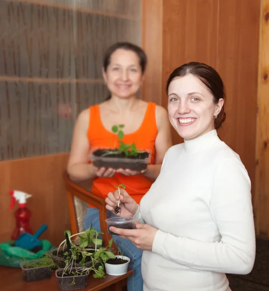 Women with seedlings — Stock Photo, Image