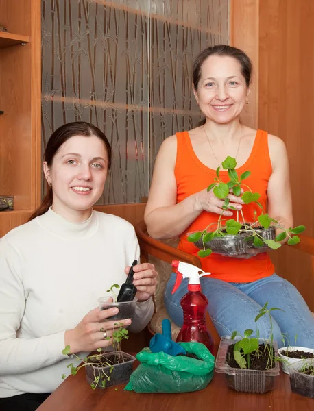 Women with sprouts — Stock Photo, Image