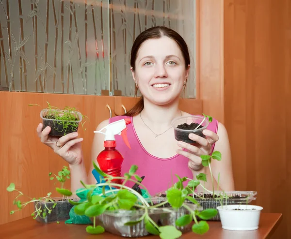 Woman with various seedlings — Stock Photo, Image