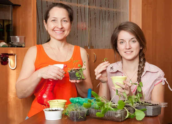 Glada kvinnor med plantor — Stockfoto