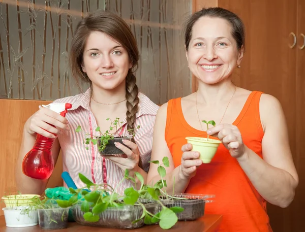 Две женщины с капустой — стоковое фото