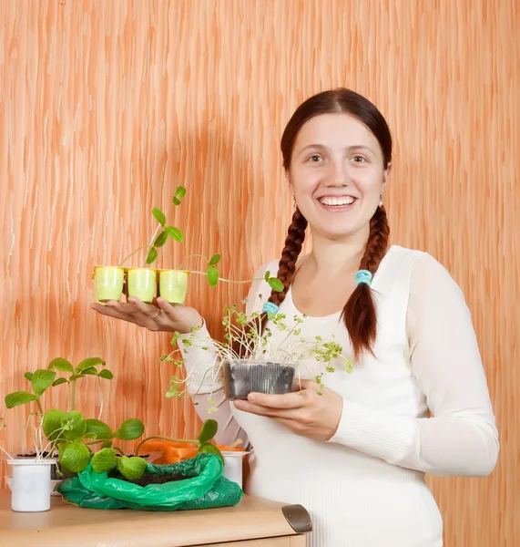 Trädgårdsmästare med olika plantor — Stockfoto
