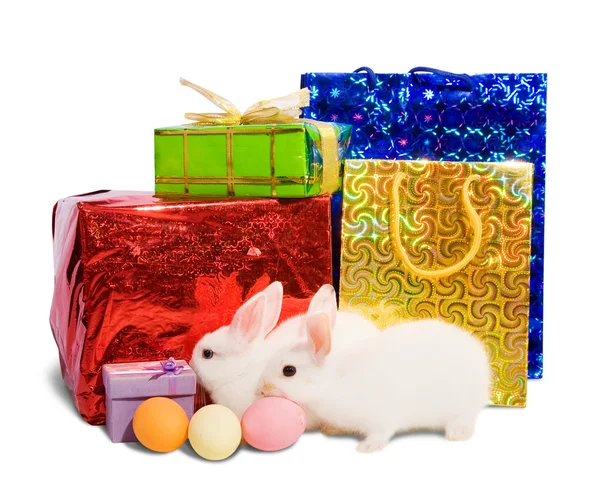 Two white rabbits with gifts — Stock Photo, Image