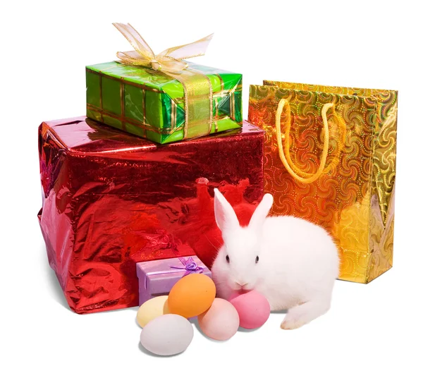 Easter rabbit with gift — Stock Photo, Image