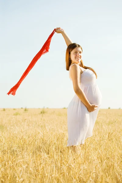 시리얼 필드에 임신한 여자 — 스톡 사진