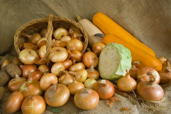 Cebola e verduras em despedida — Fotografia de Stock
