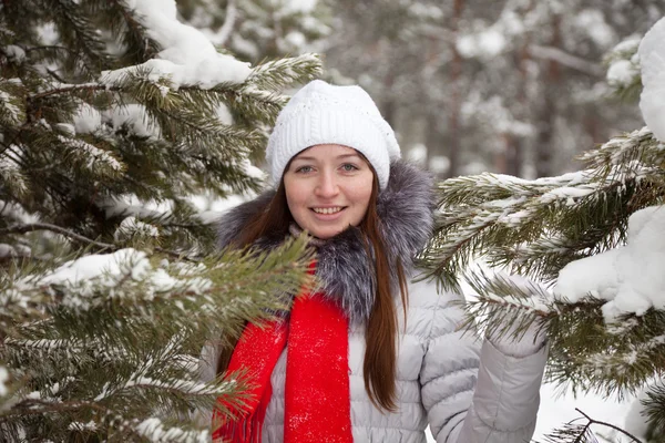 Portret zimowy gir — Zdjęcie stockowe