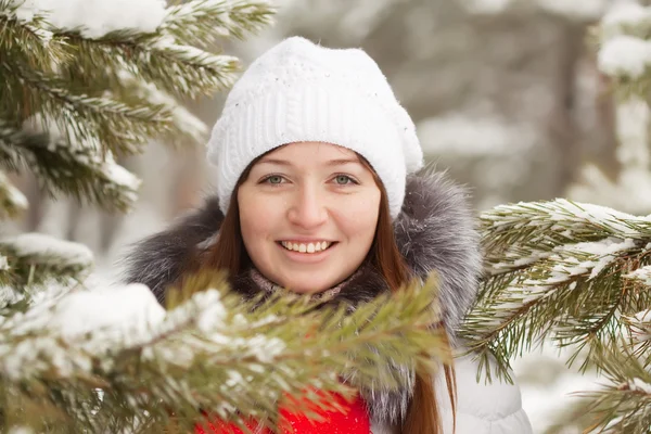 Lány téli fenyves erdőben — Stock Fotó