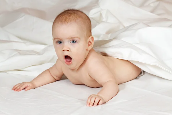 Bebé de 5 meses — Foto de Stock