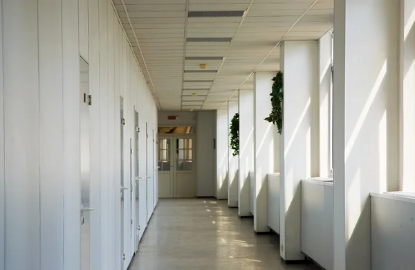 Office koridor — Stok fotoğraf