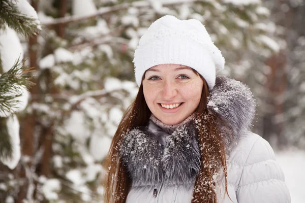 Girl in wintry pine forest Royalty Free Stock Photos