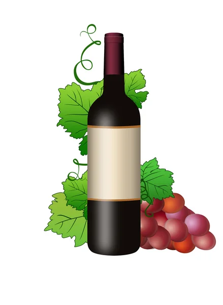 Butilka з вином і виноградна лоза — стокове фото