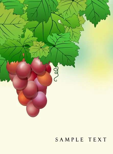 A szőlő absztrakt háttér — Stock Fotó