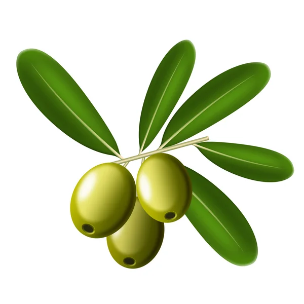 stock image Olives