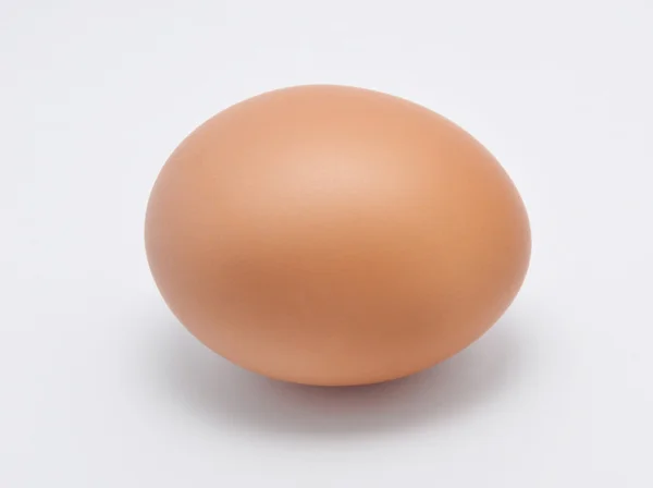 stock image Egg