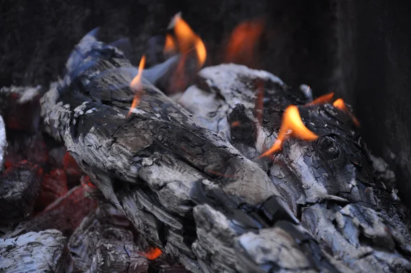 Burning out logs — Stock Photo, Image