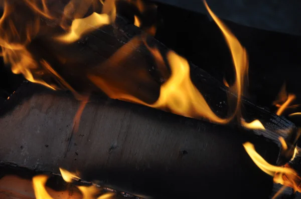 Сжигание бревен — стоковое фото