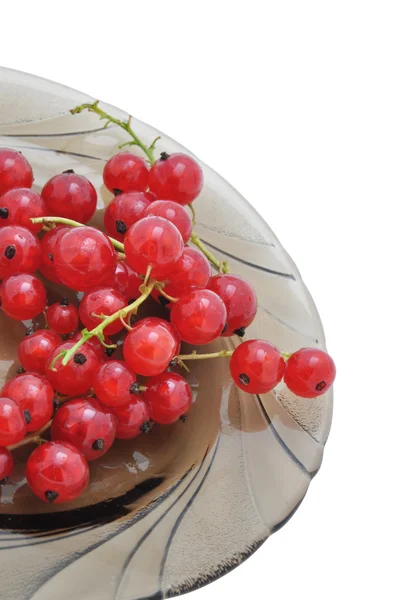 Red currant on a dish — Stock Photo, Image