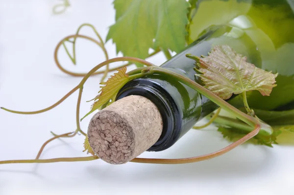 Grape-vine and bottle — Stock Photo, Image