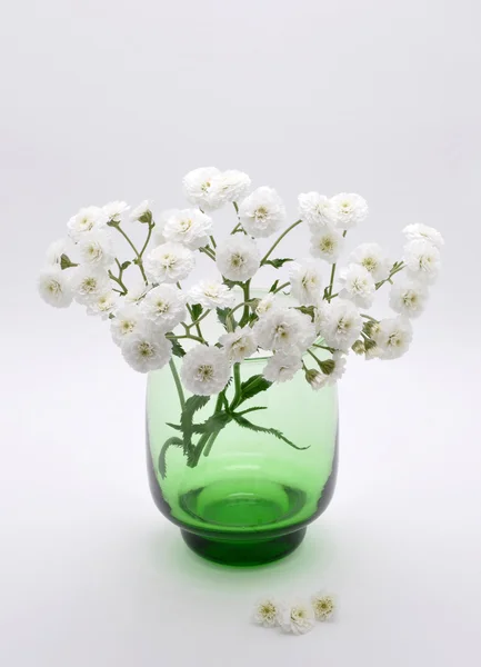 stock image A bouquet of white flowers is in glass