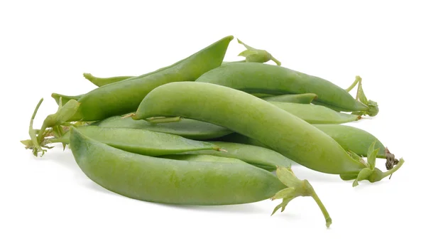 stock image Pods of pea