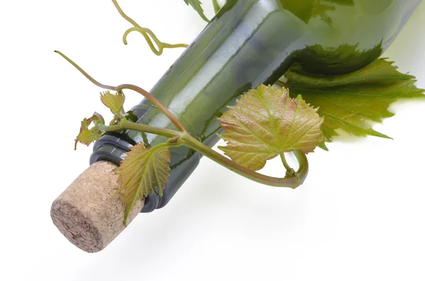 Grape-vine and bottle — Stock Photo, Image