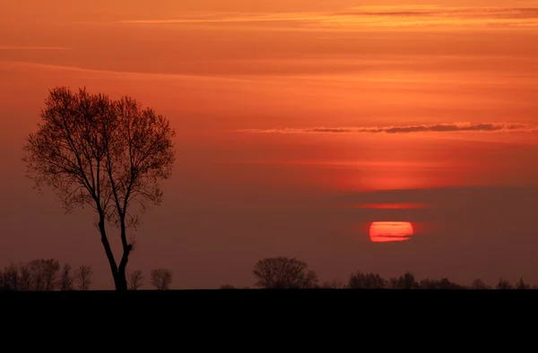 stock image Lithuania sunset